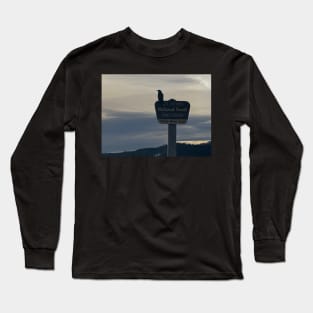 Mt hood beauty Long Sleeve T-Shirt